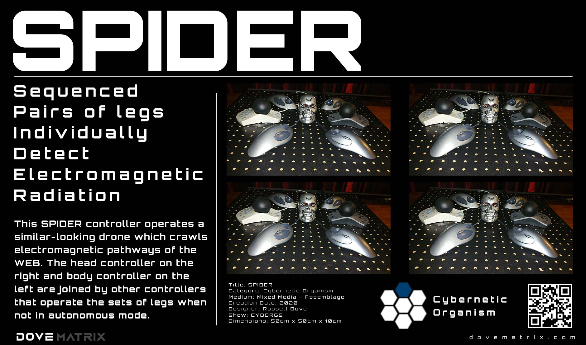 Spider 4 by DOVEMATRIX